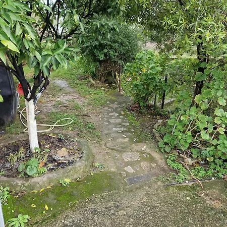 Apartamento Nafsika *